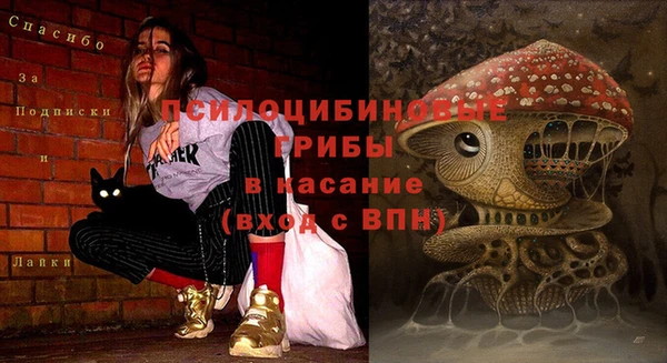 трава Волоколамск