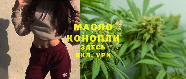 дживик Володарск